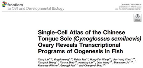 Front Cell Dev Biol 华大高通量单细胞平台 C4 助力鱼类繁殖生物学研究 哔哩哔哩