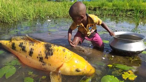 Wow Amazing Hand Fishing Video Traditional Boy Big Fish Catching By