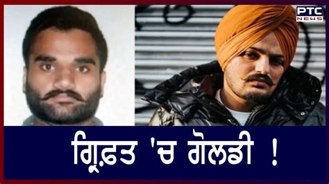 Gangster Goldy Brar arrested in California ਗਰਫਤ ਚ ਗਲਡ YouTube