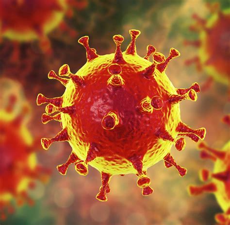 Coronavirus Fakten Was Jeder Ber Virus Erkrankung Wissen Sollte Welt