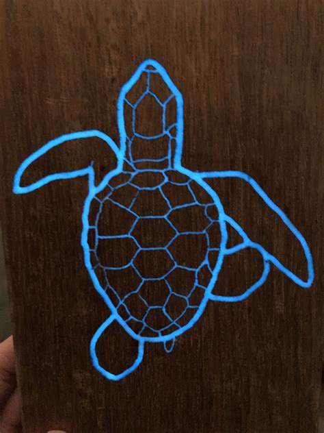 Glow In The Dark Turtle Turtle Art Turtles Glow In The Dark Zoo The