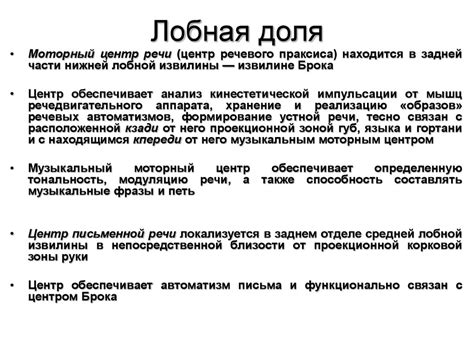Кора головного мозга. Локализация функций. Синдромы поражения ...