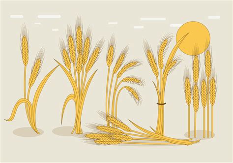 Wheat Stalk Vector 110504 Vector Art at Vecteezy