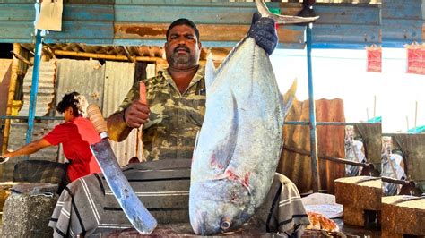 KASIMEDU MINNAL RAJA 20KG BIG TREVALLY FISH CUTTING VIDEO CUTTING FOCUS