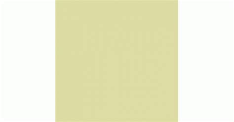 Liquitex Professional Spray Paint Cadmium Yellow Light Hue 6 6159