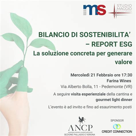 Bilancio di Sostenibilità Report ESG la soluzione concreta per