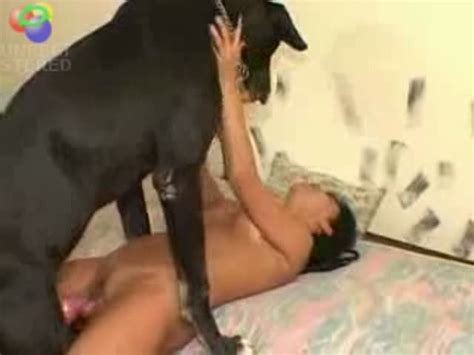 Femme Et Sexe Animaux