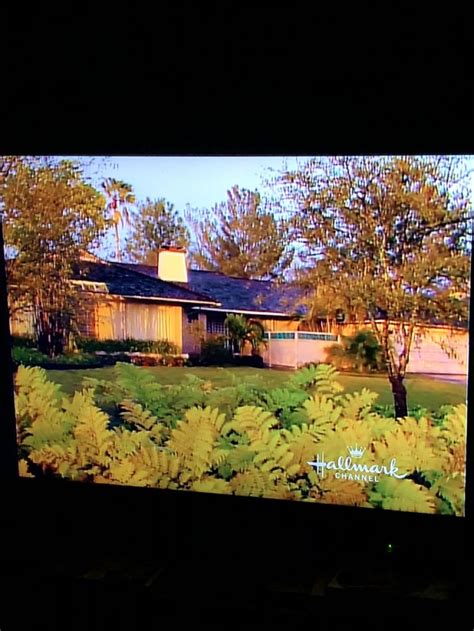 Golden Girls House Used To Be At Disney World Until It Was Demolished Golden Girls House