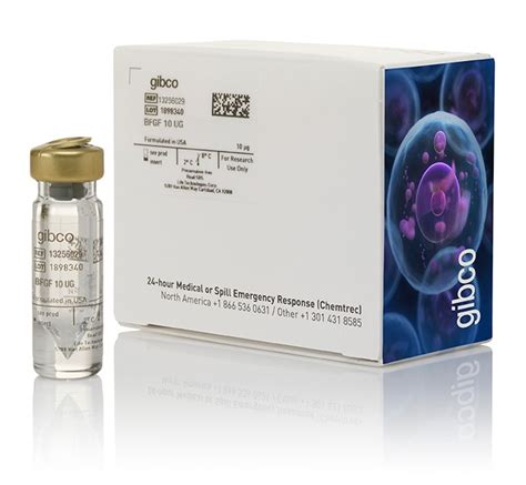 Gibco Human FGF basic FGF 2 bFGF Recombinant Protein 10ug Proteínas