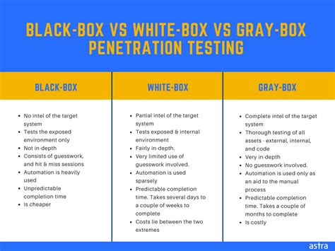 Black Box Penetration Testing A Complete Guide