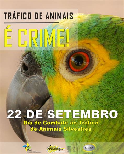 Campanha Do Peas De Setembro Dia De Combate Ao Tr Fico De Animais