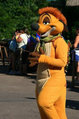 Timon at Disney Character Central