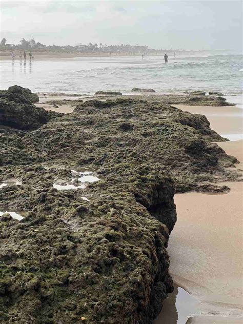 Cadiz spain beaches: The ultimate guide of where to go swimming