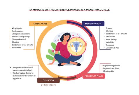 Menstrual Cycle A Guide To The Phases Of Menstrual Cycle