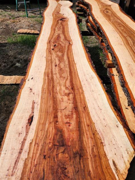 Hardwood Products Pecan Live Edge Slabs