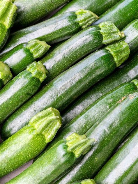 18 Types Of Zucchini You Probably Dont Know About With Pictures