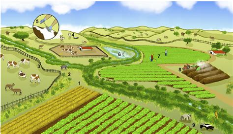 Collaborative Action Among Growers Ranchers And Feedlot Operators Download Scientific Diagram