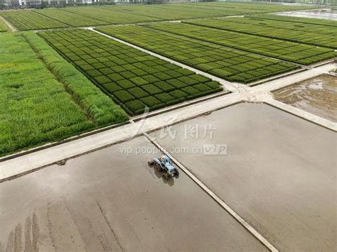 江苏扬州：谷雨时节农事忙 人民图片网