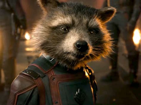 Rocket Raccoon