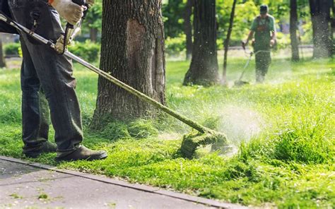 Servizi Di Gestione E Manutenzione Del Verde Pubblico