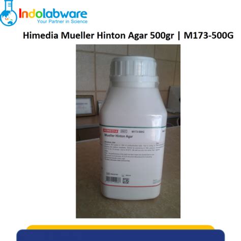 Jual Himedia Mueller Hinton Agar 500 Gr Cv Wahana Hilab Indonesia