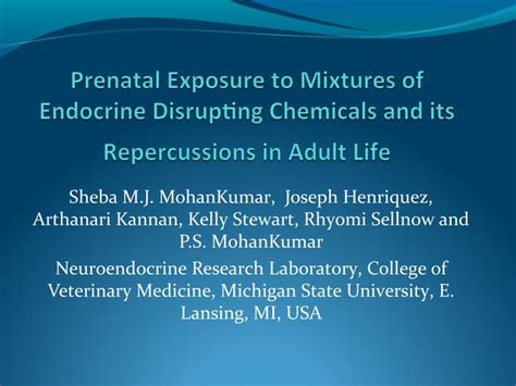 Prenatal Exposure To Mixtures Of Endocrine Disrupting Chemicals And Its Repercussions In Adult