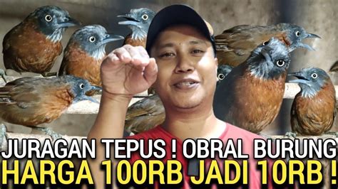 Suka Rela Kios Pelawak Harga Bontang Banting Tepus Kepala Abu Pasar