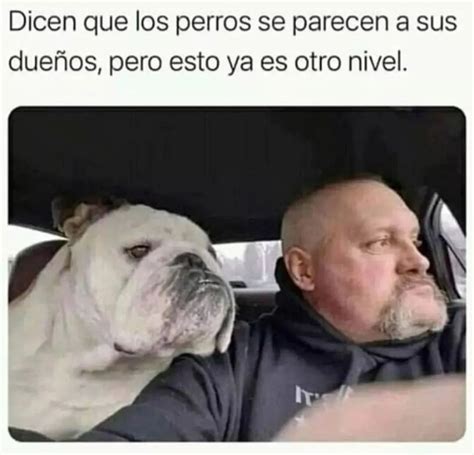 Dicen que los perros se parecen a sus dueños pero esto ya es otro