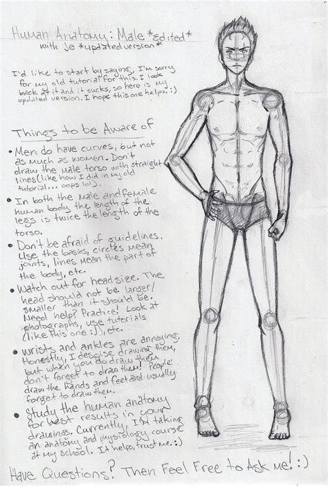 Male Anatomy Tutorial EDITED by shoujoartist on DeviantArt