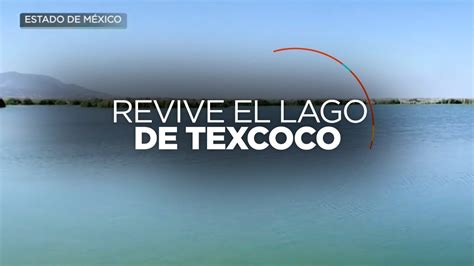 Regresa La Vida Al Lago De Texcoco Que Iba A Ser Un Aeropuerto