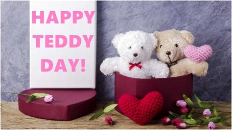 Teddy Day 2022 हर रंग के टेडी बियर का होता है अलग मतलब गिफ्ट करने से पहले जान लें ये बातें