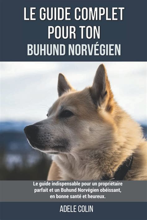 Le guide complet pour ton Buhund Norvégien Le guide indispensable pour