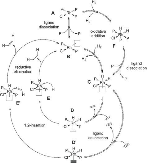 Catalytic cycle for hydrogenation of alkyne to alkane, where the two ...