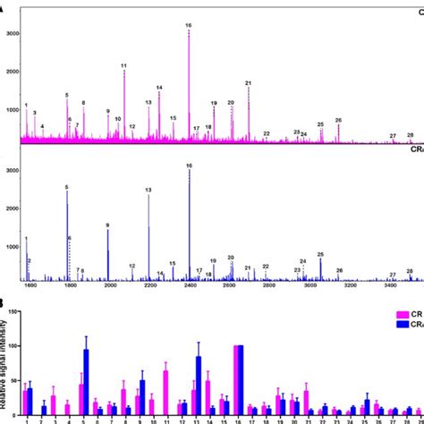 Different N Glycan Composition In T ALL Cell Lines A MALDI TOF MS