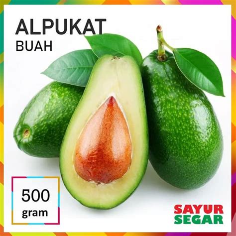 Jual Buah Alpukat Segar 500g Shopee Indonesia