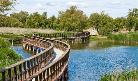 Alrededores De Parque Nacional Las Tablas De Daimiel Tclm