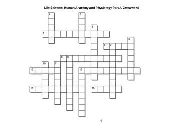 Life Science Human Anatomy And Physiology Crossword Part A By Bac