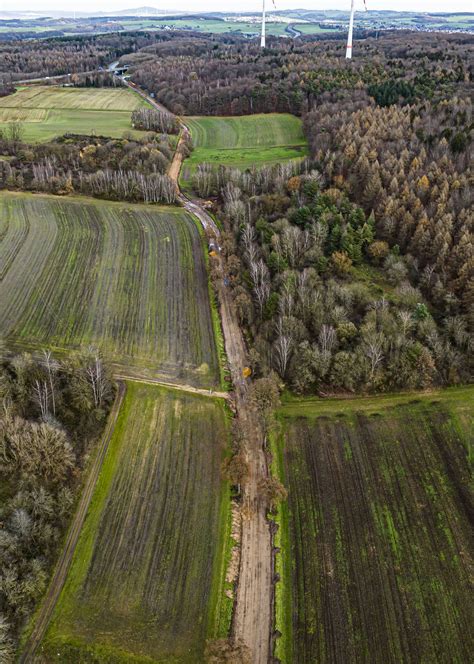 Rund 100 Jahre alte Winterlinden bei Elm müssen gefällt werden