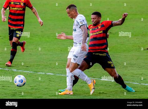 Pe Recife Brazilian A Sport X Palmeiras Andre