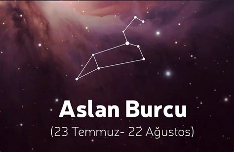 ASLAN BURCU