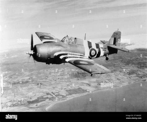 The Royal Navy During The Second World War A Fleet Air Arm Grumman