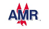 american airlines group aamrq stock price news analysis