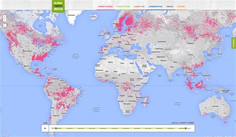 Google Lat Long Monitoring The World S Forests With Global Forest Watch