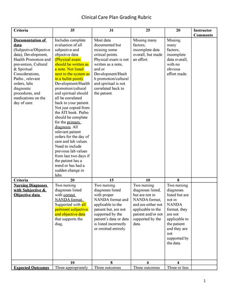 Care Plan Rubric Nannnnnnnnnnnnnnnnnnnnnnnnnnnnnnnnnnnnnnnnnnnn Clinical Care Plan Grading