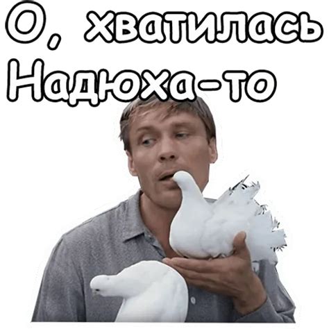 Sticker Maker - Любовь и голуби