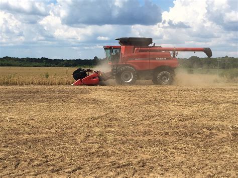 Harvesting Soybeans | Wilcox County Ag