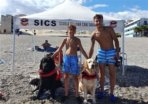 Eroi A Quattro Zampe 5 Persone Salvate Dai Cani Bagnino In Un Solo Giorno