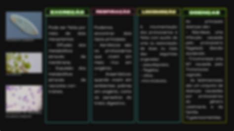 Solution Resumo Protozo Rios Enfermagem Studypool