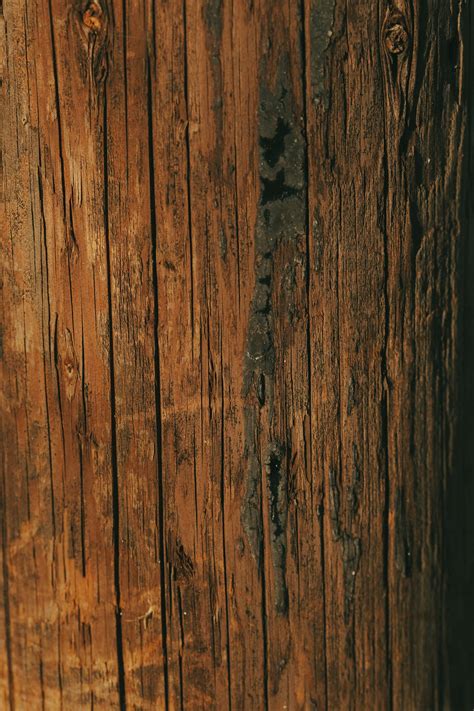 500+ Wood texture free images