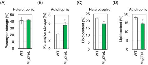 Paramylon Storage And Lipid Content Of M Zfel And Wild Type Strains